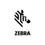 Zebra P1053360-019 Testina di Stampa 300 dpi per 105SL Plus
