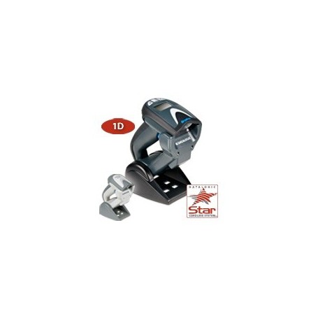 Datalogic Gryphon Imager GM4100